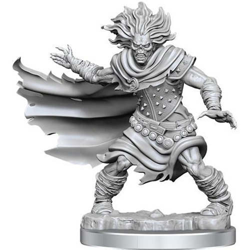 2!WZK75052 Dungeons And Dragons Frameworks: Wight published by WizKids Games